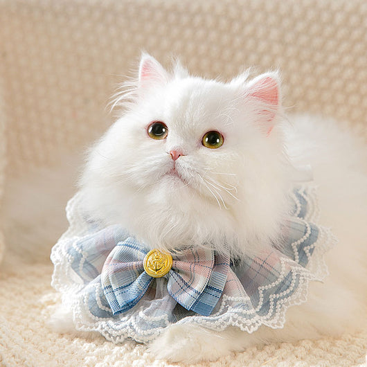 Pañuelo Decorativo Absorbente para Gatos
