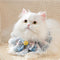 Pañuelo Decorativo Absorbente para Gatos