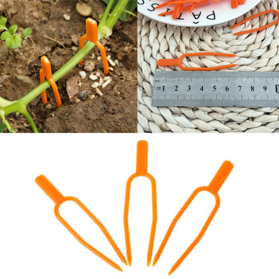 Clips Fijos para Guías de Plantas - 50 Unidades para Fresas, Sandías y Enredaderas