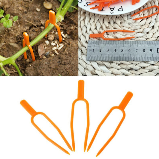Clips Fijos para Guías de Plantas - 50 Unidades para Fresas, Sandías y Enredaderas