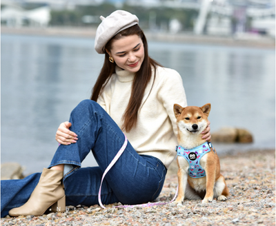Arnés Pectoral Degradado para Perros Pequeños y Medianos - Image 12