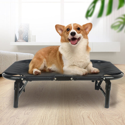 Cama Plegable para Perros Grandes, Medianos y Pequeños - Instalación Fácil - Image 9