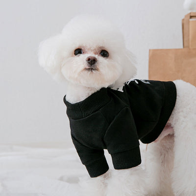 Suéter para Perro con Estampado de Osito - Image 11