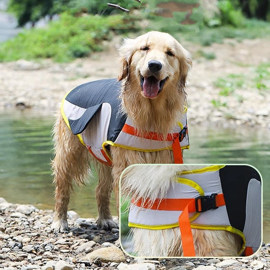 Ropa de Verano para Perros Corgi y Golden Retriever - Image 12