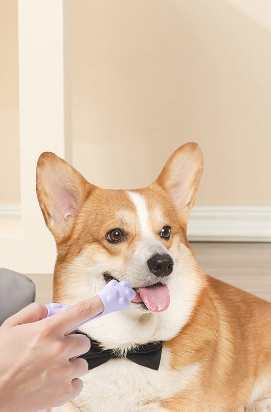 Cepillo de Dientes de Silicona para Mascotas - Limpieza Bucal Profesional - Image 17