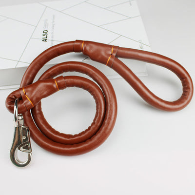 Collar de Cuero Premium con Cuerda para Perros Golden Retriever y Husky Tamaño Mediano-Grande - Image 7