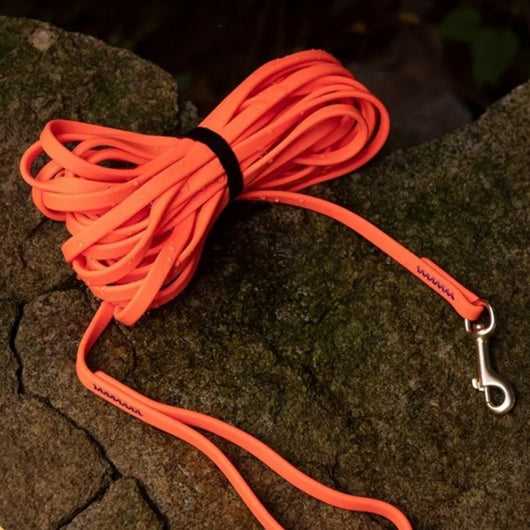 Correa de Adiestramiento Reforzada de 1cm Anti Rotura para Perros