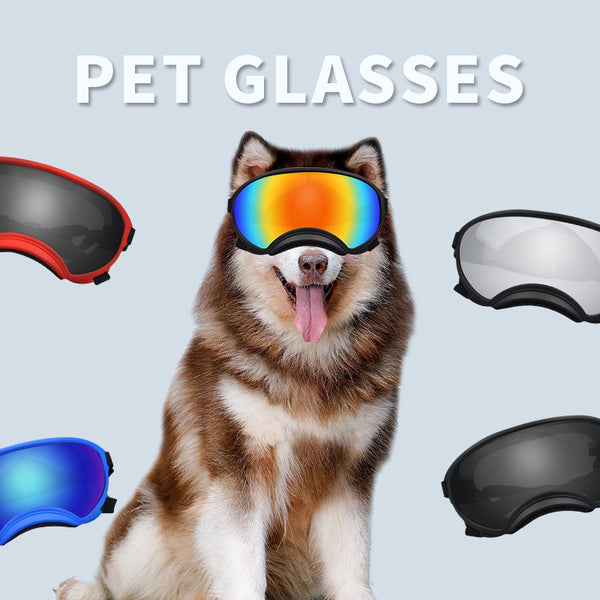 Gafas Protectoras para Perros en Nieve y Viento