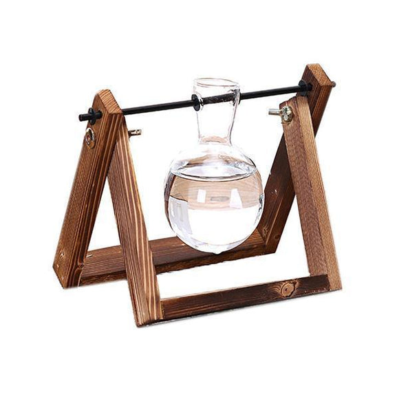 Terrario Rústico para Plantas con Soporte de Madera