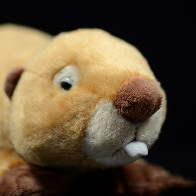 Peluche Adorable de Castor Simulado - Juguete Suave y Tierno - Image 10