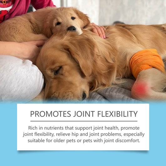 Gotas Inmunológicas Premium para Perros y Gatos - Suplemento Nutricional Reforzado - Image 2