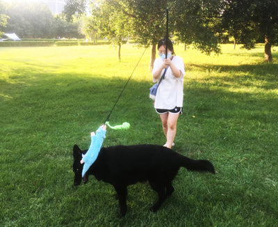 Black telescopic pet training rod with a black cord and two interchangeable braided fabric attachments in green/yellow and blue. - Image 29