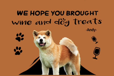 Tapete Personalizado para Gatos y Perros con Nombre - Image 4