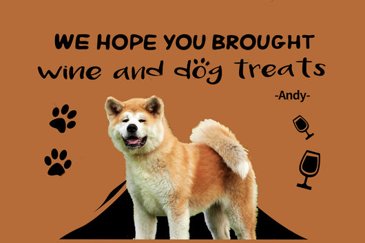 Tapete Personalizado para Gatos y Perros con Nombre - Image 4