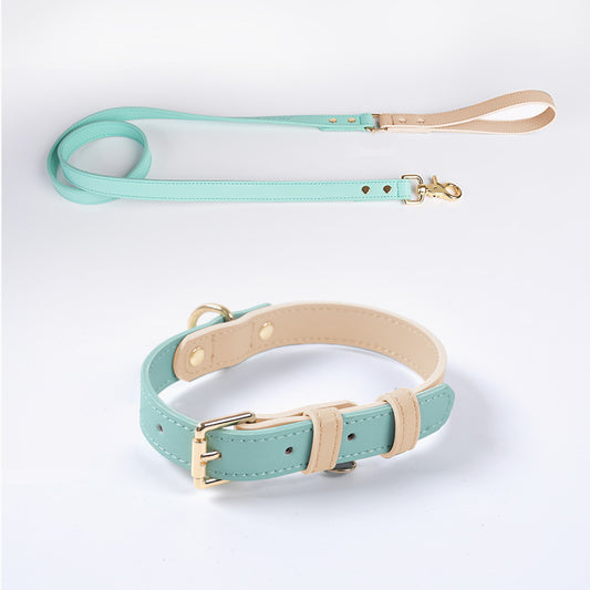 Juego de Collar y Correa para Perro en Cuero Premium