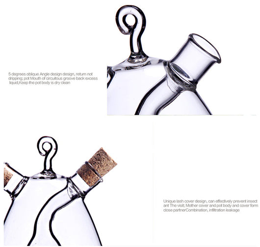 Aceitera de Vidrio Creativa y Antigoteo para Condimentos - Image 7