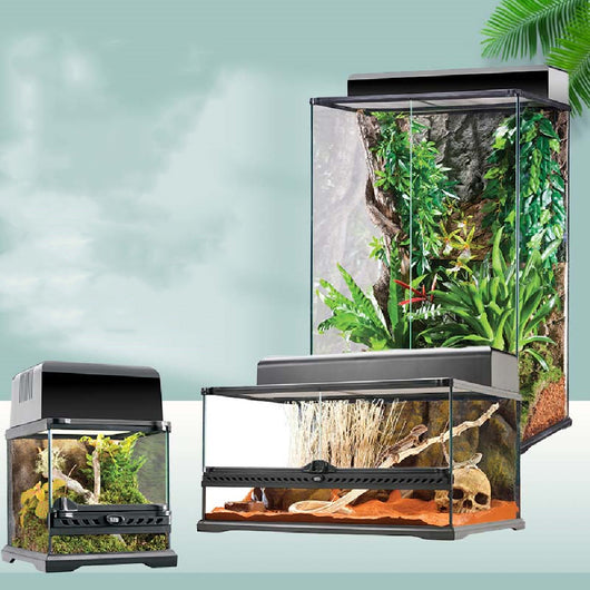 Protector de Serpiente para Reptiles Escaladores - Image 10