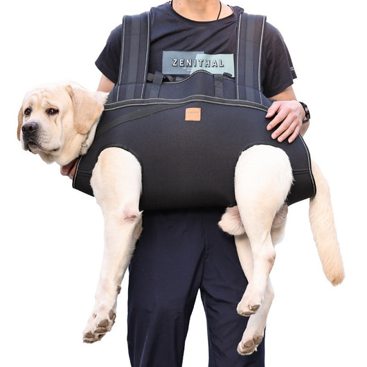 Mochila de Transporte para Perros Medianos y Grandes - Image 21