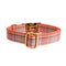 Collar Para Perro XS