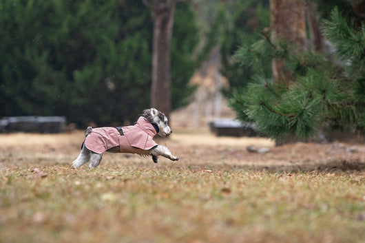 Poncho Impermeable Universal para Perros Pequeños y Medianos - Image 29