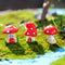 Miniatura de Paisaje con Setas - Ornamento Bonsái en Maceta