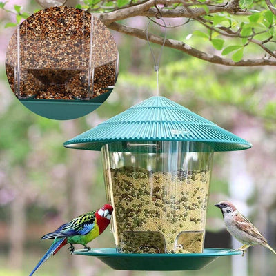 Comedero Colgante Transparente para Pájaros de Jardín - Image 9