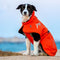 Abrigo Acolchado para Perros - Impermeable y Cálido para Otoño e Invierno