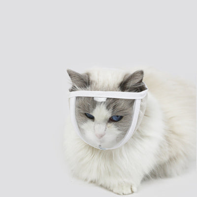 Máscara Protectora Transparente Gato Antipolvo Antimordida - Image 6