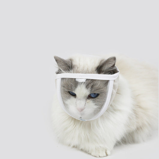 Máscara Protectora Transparente Gato Antipolvo Antimordida - Image 6