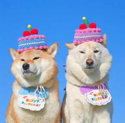 Sombrero Babero Elegante para Perros - Accesorios de Moda Canina - Image 14