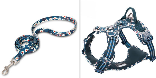 Arnés Pectoral para Perros con Diseño Floral - Tracción Resistente - Image 8