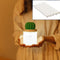 Transparente 5 Piezas Cotton USB
