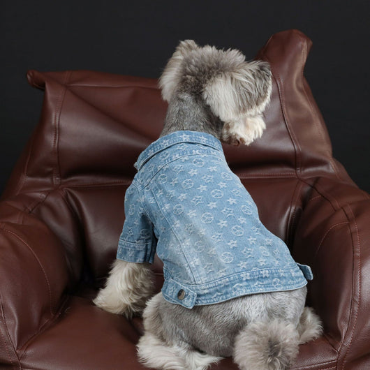 Camisa Denim Primavera Verano para Mascotas - Image 9