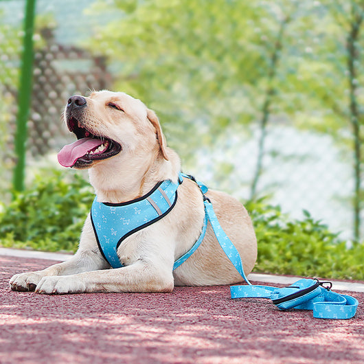 Arnés para Perro con Lazo Decorativo