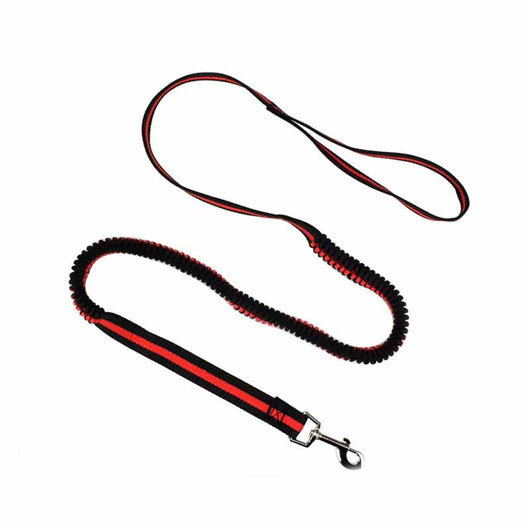 Correa Extensible Elástica para Mascotas con Control de Tracción - Image 4