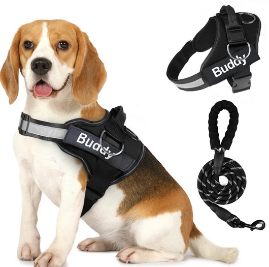 Arnés para Perros en Pareja con Correa de Pecho - Image 12