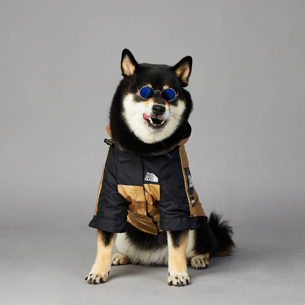 Impermeable para Perros Grandes - Abrigo Protector Ajustable