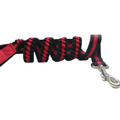 Correa Extensible Elástica para Mascotas con Control de Tracción - Image 8