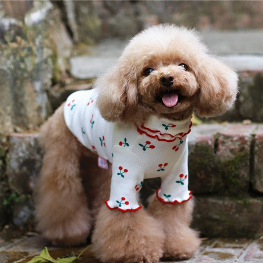 Blusa para Perro con Estampado de Cerezas y Borde Ondulado - Image 5