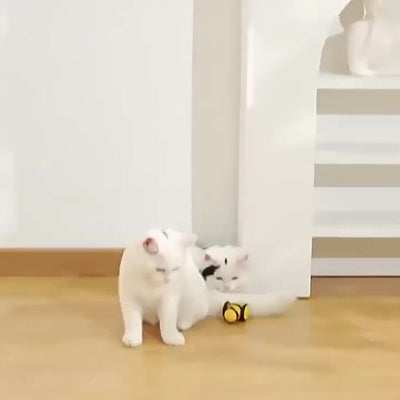 Juguete Interactivo Eléctrico para Gatos - Abejita Móvil con Plumas y Movimiento Aleatorio - Image 11