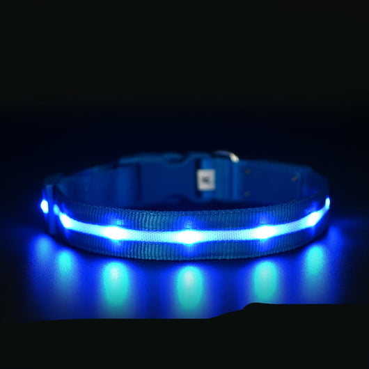 Collar Luminoso USB para Mascotas - Seguridad Nocturna Recargable - Image 2