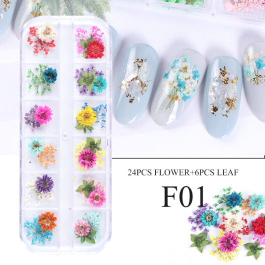 Kit de Flores Secas para Decoración de Uñas - 12 Compartimentos con Margaritas y Flores Silvestres Reales - Image 12