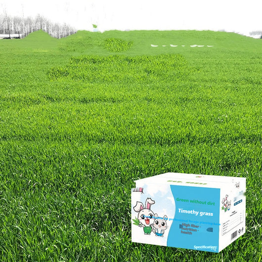 White box of Timothy grass pet food with cartoon rabbits, labeled as green, no pollution, high fiber, nutrition, and health, 1kg. - Image 6