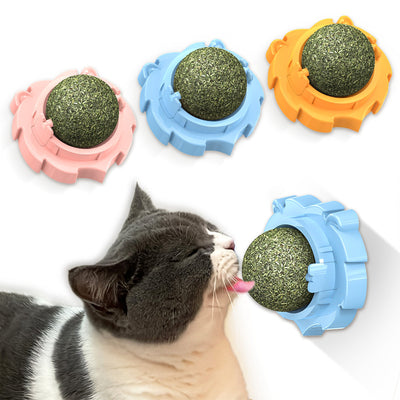 Juguete Mordedor Molar para Gatos con Hierba Gatera Adhesiva - Image 3