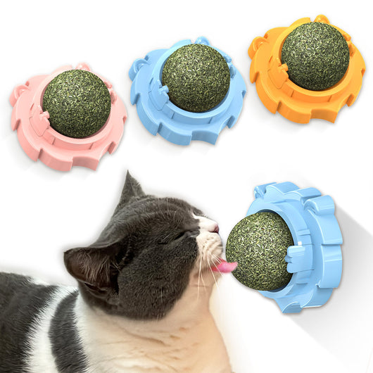 Juguete Mordedor Molar para Gatos con Hierba Gatera Adhesiva - Image 3