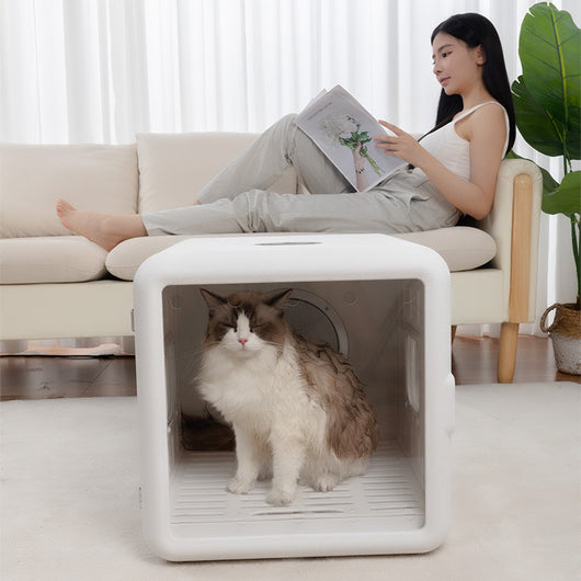 Secador Automático para Gatos Home Fashion - Image 9