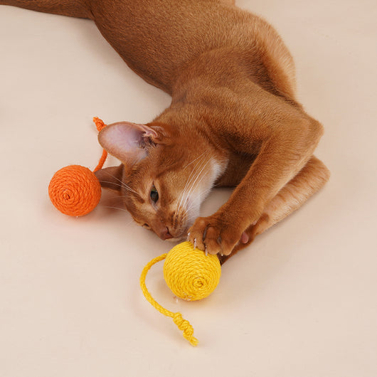Juguete Interactivo para Gatos con Pelota de Catnip y Varita Resistente - Image 7