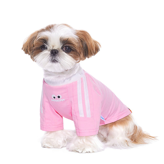 Ropa Delgada para Perros Pequeños y Gatos - Schnauzer - Image 13