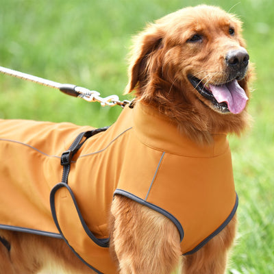 Abrigo Reflectante para Perros - Protección Térmica Otoño e Invierno - Image 10
