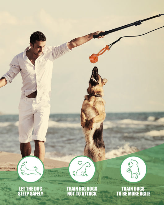 Black telescopic pet training rod with a black cord and two interchangeable braided fabric attachments in green/yellow and blue. - Image 21